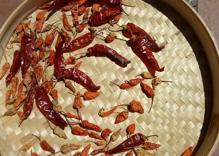 ذا نورث كيب بيتش فيلاز فيلة أُماينيار